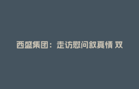 西盛集团：走访慰问叙真情 双拥共建暖人心