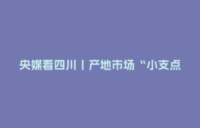 央媒看四川丨产地市场“小支点”撬动蔬菜产业“大发展”