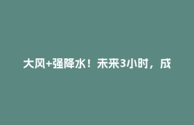 大风+强降水！未来3小时，成都这些地方注意