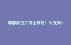 郫都夏日采摘全攻略！火龙果+葡萄+小番茄，甜蜜暴击→