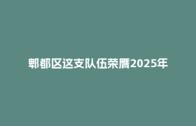 郫都区这支队伍荣膺2025年成都市品牌科技志愿服务队伍榜首