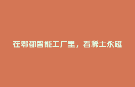 在郫都智能工厂里，看稀土永磁材料的“数智突围”→