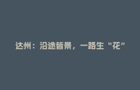 达州：沿途皆景，一路生“花”