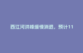 西江河洪峰缓慢消退，预计11日凌晨退至警戒水位