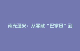 南充蓬安：从零散“巴掌田”到高产示范片 激活丘区现代农业发展新动能