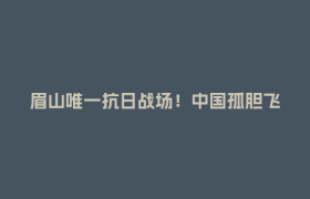 眉山唯一抗日战场！中国孤胆飞行员击落日军“轰炸大王”