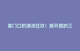 家门口的清凉狂欢！新开园的三道堰水乐园日均迎客2000人次