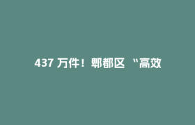 437 万件！郫都区 “高效办成一件事” 改革交出亮眼答卷