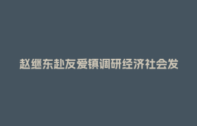 赵继东赴友爱镇调研经济社会发展情况
