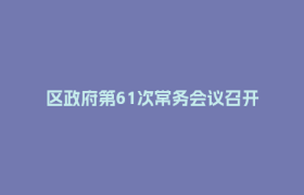 区政府第61次常务会议召开