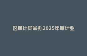 区审计局举办2025年审计业务能力提升专题培训