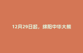 12月29日起，绵阳中华大熊猫苑面向公众试运营