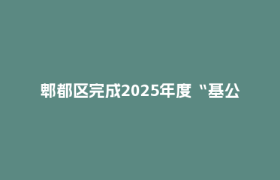郫都区完成2025年度“基公卫+家医签约”绩效评价！这些亮点值得关注→