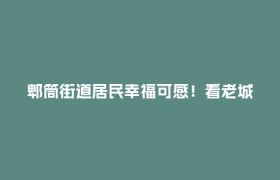 郫筒街道居民幸福可感！看老城治理的成效与启示