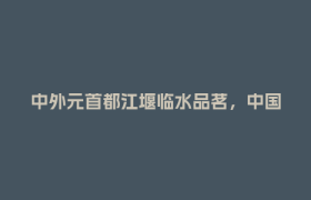 中外元首都江堰临水品茗，中国“治”慧展现世界意义｜2025四川省文化发展十件大事