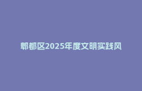郫都区2025年度文明实践风采展示交流活动举行