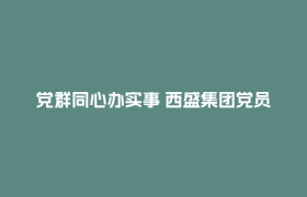 党群同心办实事 西盛集团党员深入社区学精神、优服务