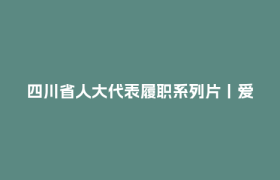 四川省人大代表履职系列片丨爱·不孤单——童伴妈妈张蓉的动人故事