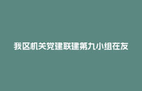 我区机关党建联建第九小组在友爱镇石羊村开展“光影赋能·乡村振兴影像行”主题党日活动