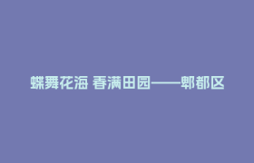 蝶舞花海 春满田园——郫都区蝴蝶村第四届田园菜花季浪漫启幕