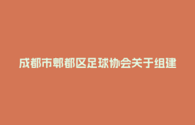 成都市郫都区足球协会关于组建郫都区足球代表队选拔事宜的通知