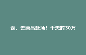 走，去唐昌赶场！千夫村30万株月季盛放，一朵花点亮乡村振兴