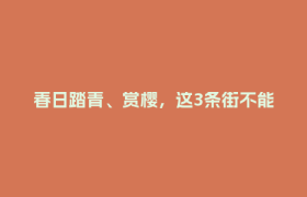 春日踏青、赏樱，这3条街不能错过！