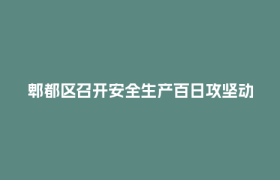 郫都区召开安全生产百日攻坚动员部署会暨消防安全工作会议
