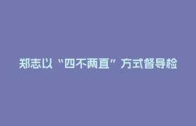 郑志以“四不两直”方式督导检查消防安全工作