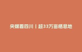 央媒看四川丨超33万亩栖息地被修复 13条生态走廊让大熊猫们“安全串门”