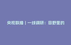 央视联播｜一线调研：田野里的智慧农机