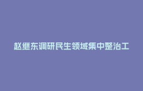 赵继东调研民生领域集中整治工作推进情况