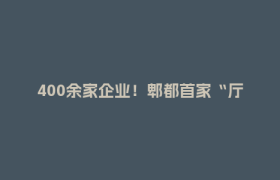 400余家企业！郫都首家“厅级”孵化器这样炼成
