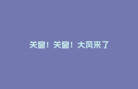 关窗！关窗！大风来了