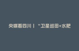 央媒看四川丨“卫星巡田+水肥精灌” 四川以智慧农业护航粮食生产