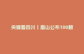 央媒看四川丨眉山公布100颗卫星发射计划