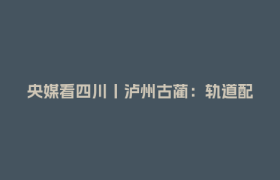 央媒看四川丨泸州古蔺：轨道配合无人机 鲜果出山抢时效