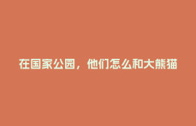 在国家公园，他们怎么和大熊猫做朋友？丨美丽中国行