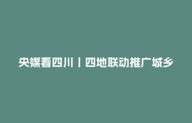 央媒看四川丨四地联动推广城乡融合助残模式