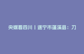 央媒看四川丨遂宁市蓬溪县：刀刃向内不回避 让“糊涂账”变“明白账”