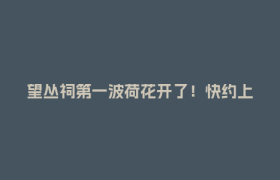 望丛祠第一波荷花开了！快约上搭子，免费拍古风大片！