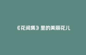 《花间集》里的美丽花儿