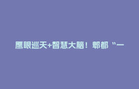 鹰眼巡天+智慧大脑！郫都“一张图”掌控全域应急