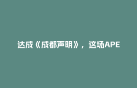 达成《成都声明》，这场APEC重磅会议结出哪些“硕果”？丨关注2026年APEC数字周系列活动