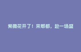 紫薇花开了！来郫都，赴一场盛夏浪漫之约