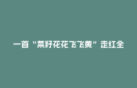 一首“菜籽花花飞飞黄”走红全网：60名留守儿童“合唱团”从蓬溪唱到全国