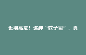 近期高发！这种“蚊子包”，真的别挠！