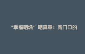 “幸福晒场”晒真章！家门口的群演培训，让普通人站上片场！