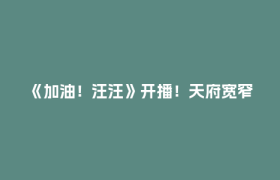 《加油！汪汪》开播！天府宽窄解锁人宠协作竞技综艺新赛道