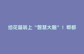 给花箱装上“智慧大脑”！郫都这家企业让公园城市更低碳